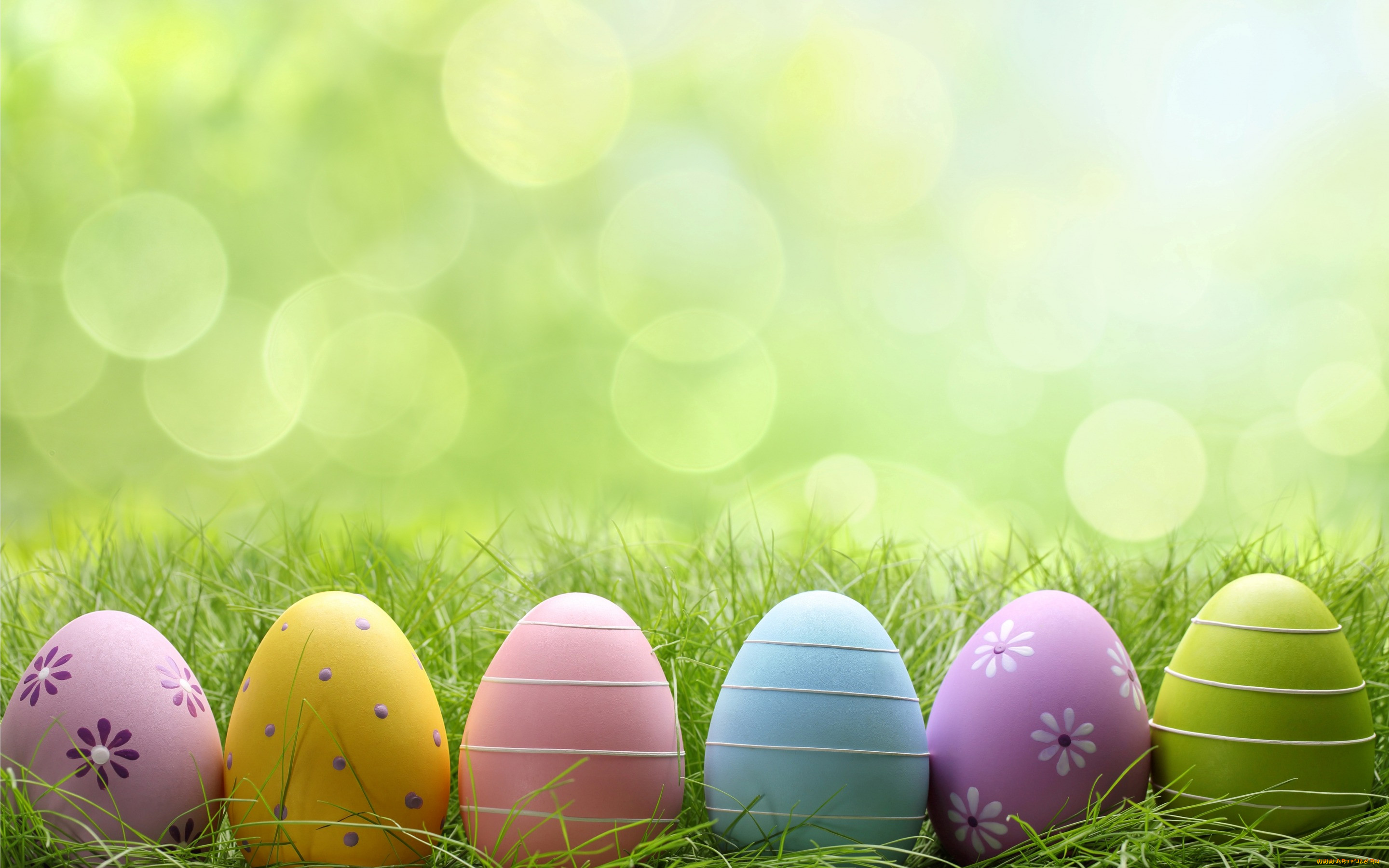 , , flowers, spring, eggs, , , , easter